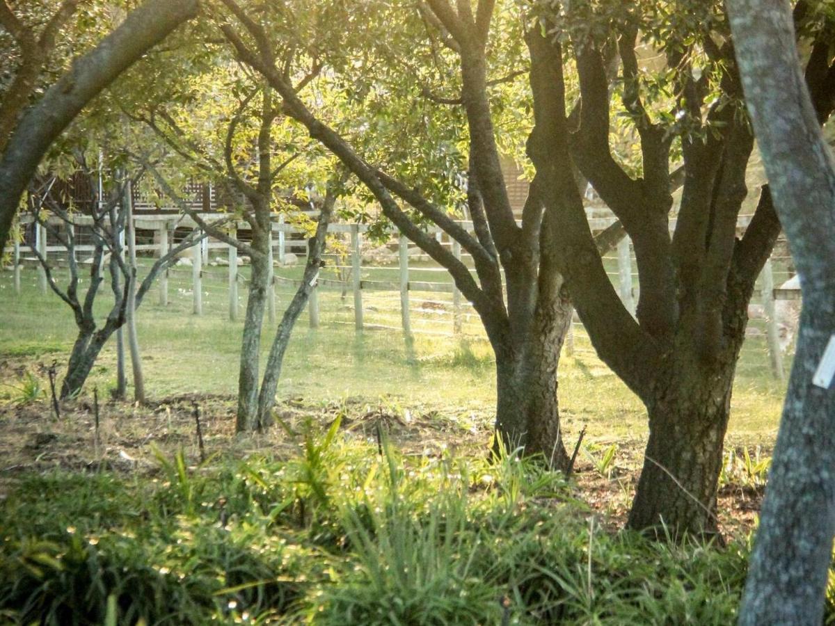 Place Of Sonlight Swellendam Buitenkant foto